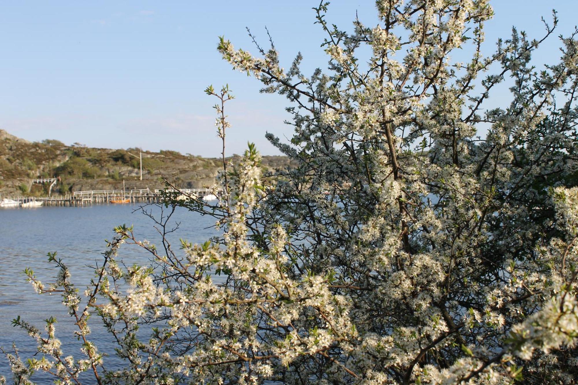 Tofta Herrgard Lycke Exteriér fotografie