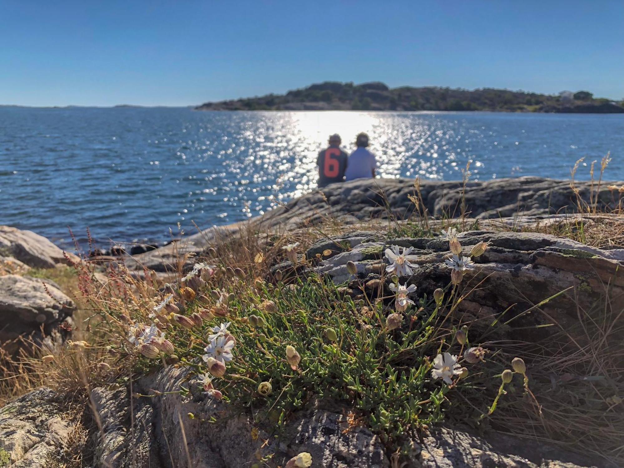 Tofta Herrgard Lycke Exteriér fotografie